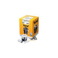 87-899800-02 PİSTON SEGMAN STD 83.00 AMAROK 3.0TDI 16 DDXA-DDXB-DDXC-DDXD