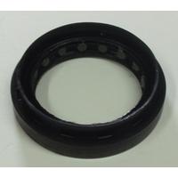 AKS KEÇESİ ÖN CLIO III-MGN II-LGN II-MODUS