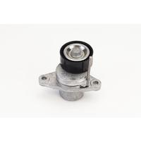 ALTERNATÖR GERGİ RULMANI KÜTÜKLÜ RENAULT LAGUNA III 07 15 DACIA DOKKER 12 DUSTER 10