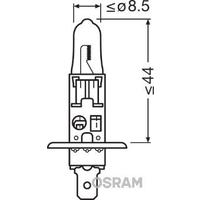 AMPUL 12V H1 55W