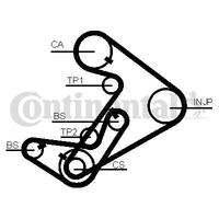 BALANS KAYIŞI HYUNDAI H100. STAREX 2.5L D4BB D4BF 97- / KIA K2500 2.5L D4BH 03- / MITSUBISHI L300. L200 2.5L 4D56 K64T K74T KA4T KB4T CR 96-14 / PAJER
