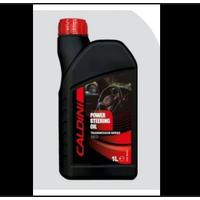 CALDiNİ 1 LT POWER STEERİNG OİL KIRMIZI CLN-86360