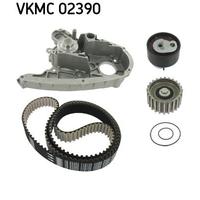 DEVİRDAİMLİ EKSANTRİK GERGİ KİTİ 178x300 DUCATO 2.3JTD 06 DAILY III 06