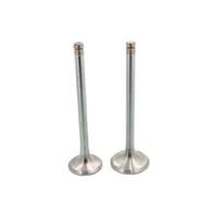 EMME EGZOZ SUBAP TAKIMI VW TRANSPORTER 2.0 TDI EURO 6 CXGD - CXEB 20437-50 / 20438-50