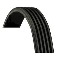 KANALLI KAYIŞ AUDI A6-A8-LOGAN-HYUNDAI-PAJERO-ALMERA-MICRA-CLIO II-III-KNG 1.5 DCI-MEGANE II-MODUS-AVEN