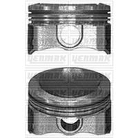 MOTOR PİSTON SEGMAN 050 P301-C ELYSEE-AYGO EB2M 1.2VTI 12V 75mm