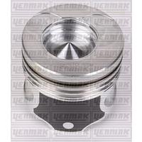 MOTOR PİSTON SEGMAN STD 25PİM CLIO-KNG-SYMBOL 1.5 DCI