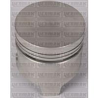 MOTOR PİSTON SEGMAN STD SERÇE-M131 1.300 76mm