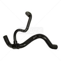 RADYATÖR ALT HORTUMU RENAULT MEGANE I 1.4-1.6 8V