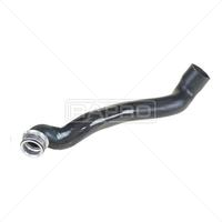 RADYATOR HORTUMU ALT MERCEDES C-CLASS W203 S203