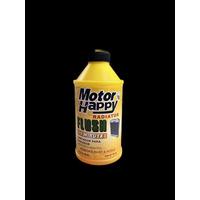 RADYATÖR PAS TEMİZLEYİCİ 300ML KOLİSİ 24 ADET