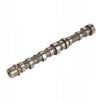 SUZUKI EKSANTRİK MİLİ EMME ALBEA-DOBLO-PALIO-ASTRA-CORSA 1.3 MTJ 1.3CDTI-