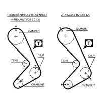 TRİGER KAYIŞI 116x190 116 DİŞ CNCRD-LGN-SAFR 2.0 GD116H9-5P190 CT749