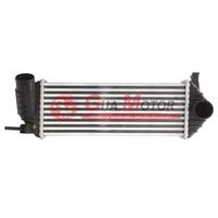 TURBO RADYATÖRÜ INTERCOOLER RENAULT KANGO III MB CITAN 1.5 DCI AL/PL/BRZ